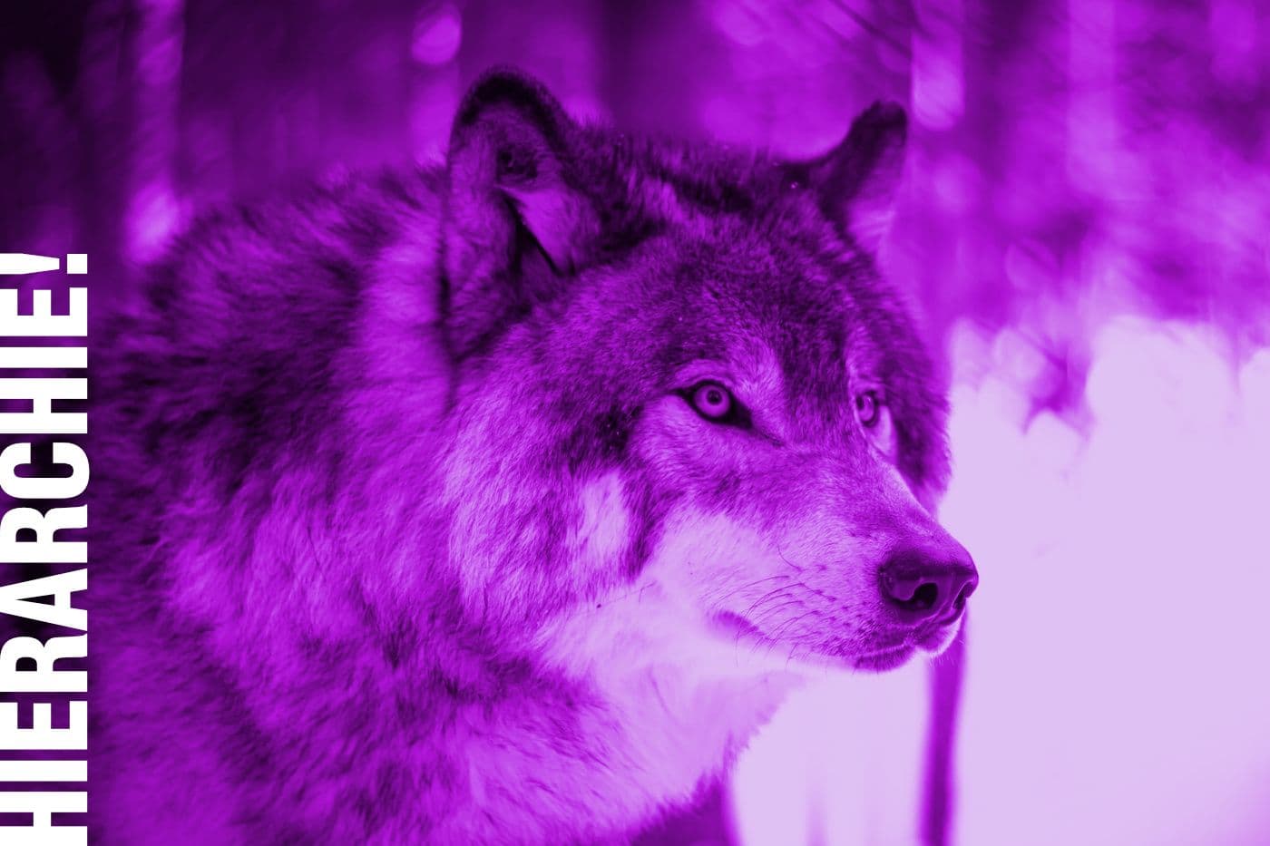 Accessibility Hierarchie