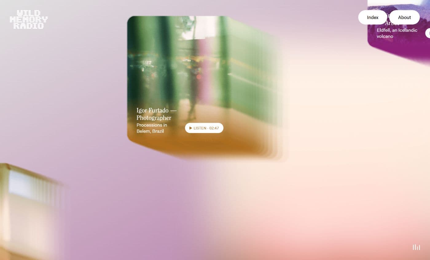 Schönste Website Sound - Wild Memory Radio - Screenshot