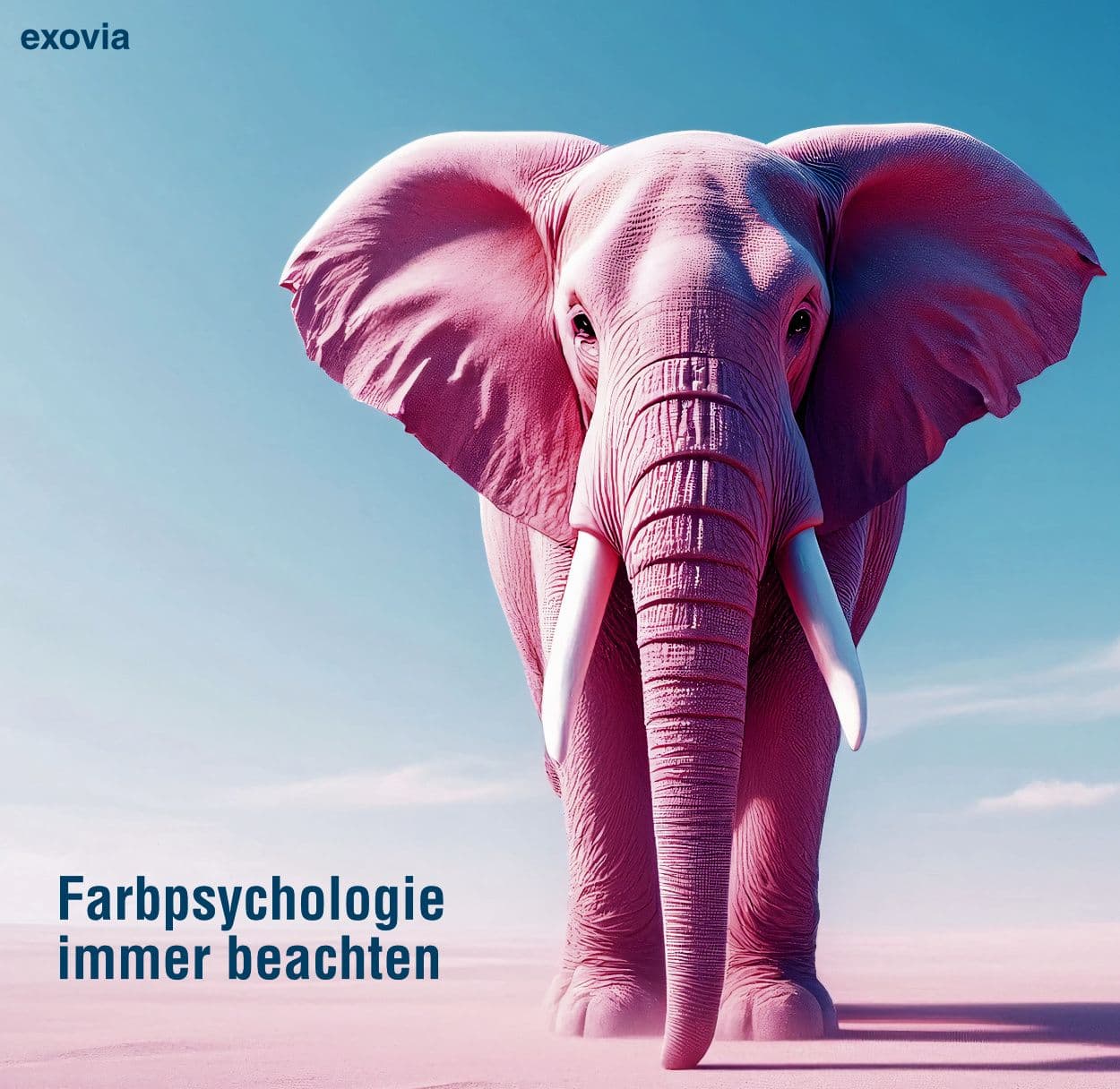 Farbpsychologie immer beachten