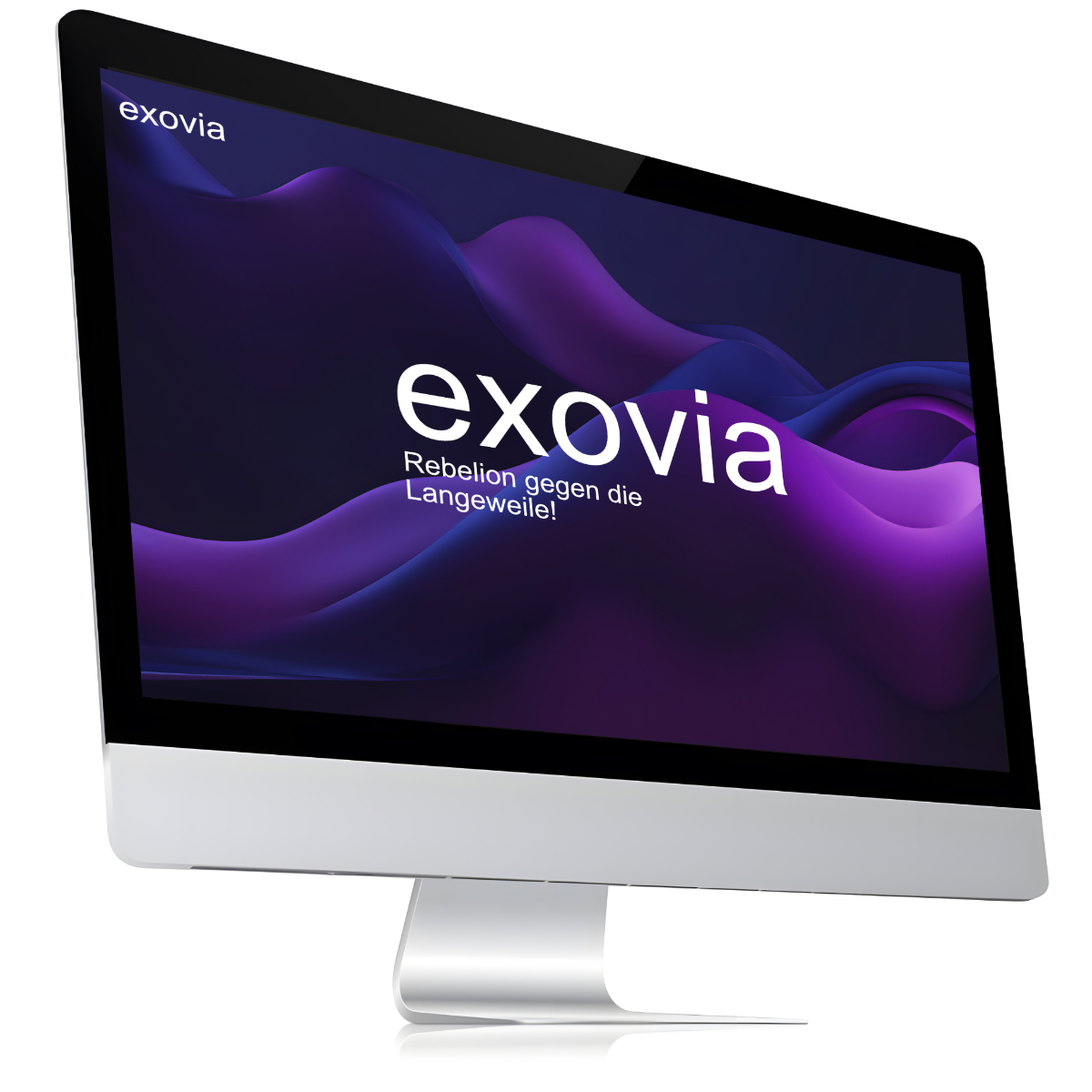 exovia webdesign - monitor
